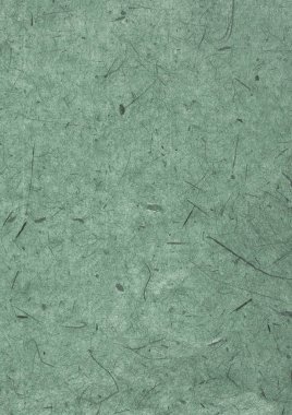 Yeşil Japon hediye dokulu kağıt ambalaj arka plan