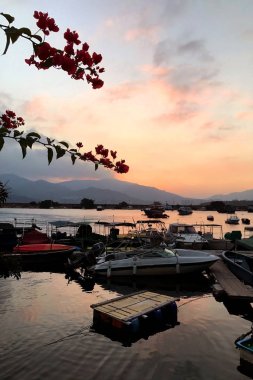 sürat teknesi, iskele, çiçek, dağ ve gökyüzü