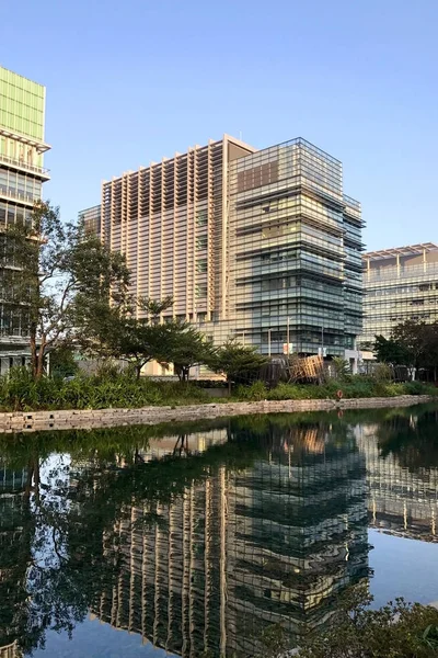 Moderno edificio de oficinas comerciales, árbol y río — Foto de Stock