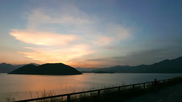 A silhueta de planta, estrada e quadro com o pôr do sol gradiente — Fotografia de Stock