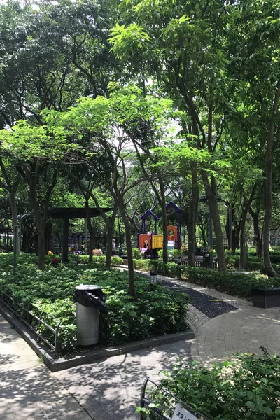 Открытая игровая площадка, зеленое дерево и растения в парке — стоковое фото