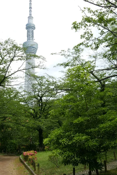 Věž budovy a veřejná zahrada v Japonsku — Stock fotografie