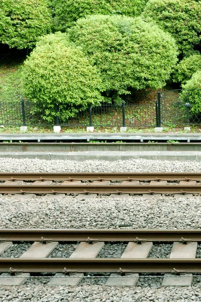 Trein lane met stenen vloer en groene planten achtergrond — Stockfoto