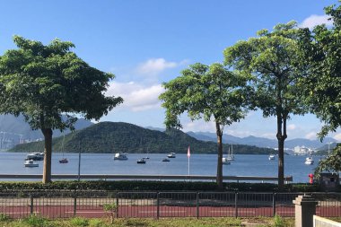 Yatay dağ, yeşil ağaç, patika ve mavi gökyüzü