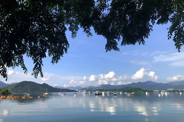 Dağ, ağaç, cennet, tekne ve yat se