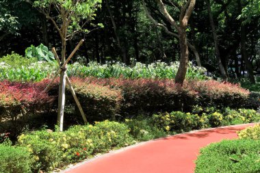 Açık bitki dekorasyon, egzersiz, çalıştıran, kırmızı koşu yolu