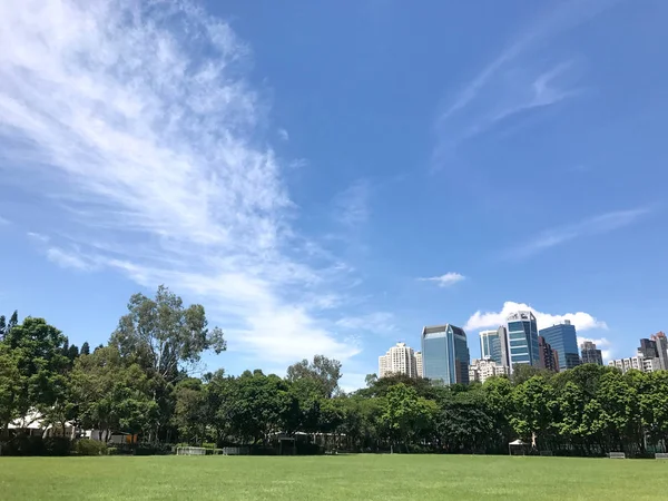 Bina cityscape büyük yeşil çim sahası, parkta ağaç — Stok fotoğraf