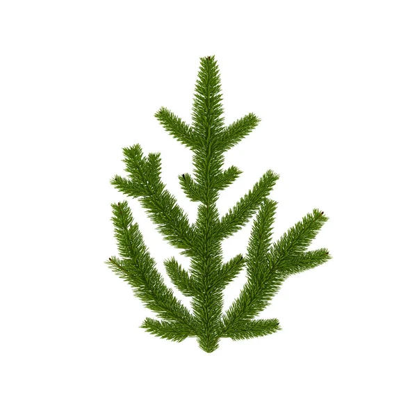 Na białym tle zieloną gałąź dla świątecznych dekoracji — Zdjęcie stockowe
