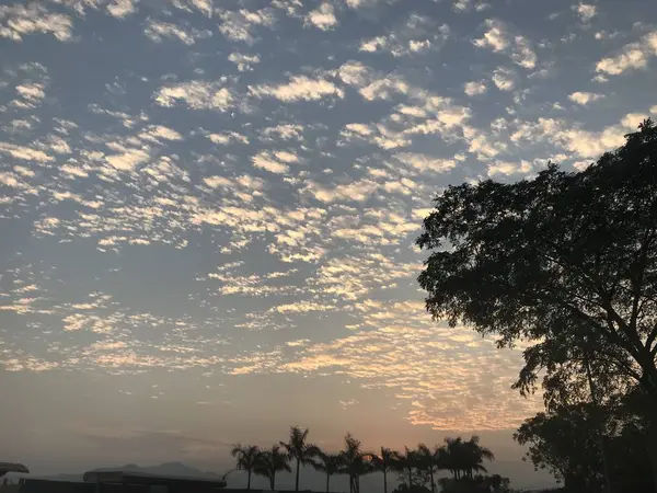 Árvores Livre Nuvens Brancas Pôr Sol — Fotografia de Stock