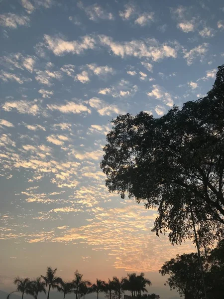Bäume Freien Und Weiße Wolken Bei Sonnenuntergang — Stockfoto
