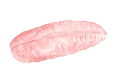 Beyaz arka plan üzerinde pastel pembe yaprak izole