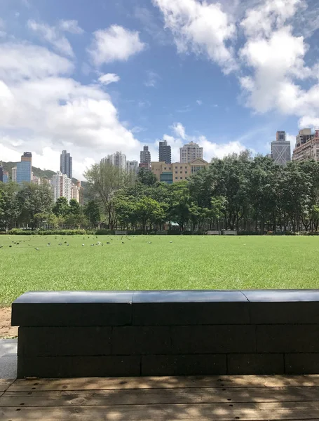 Vertical chão de madeira ao ar livre e campo verde na cidade par público — Fotografia de Stock