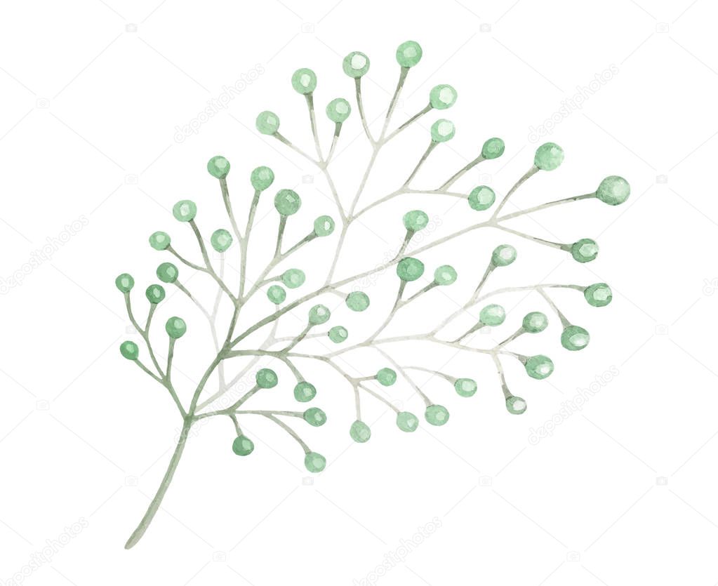 Watercolor drawn green plant decoration on white background