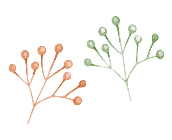 Décoration végétale dessinée à l'aquarelle sur fond blanc — Image vectorielle