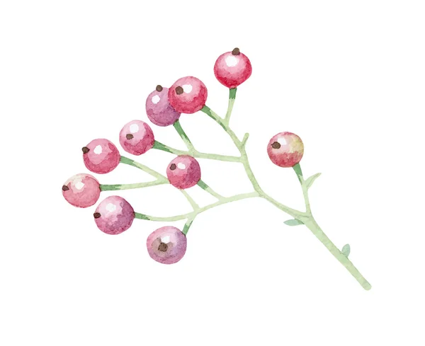 Vecteur isolé plantes rouges décoration de mariage — Image vectorielle