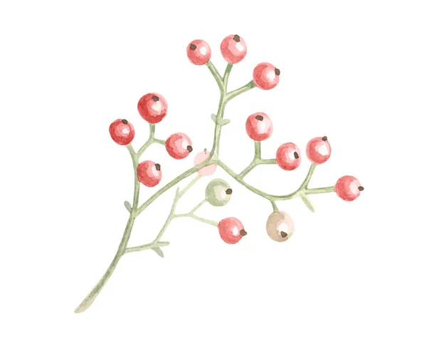 Vecteur isolé plantes rouges décoration de mariage — Image vectorielle