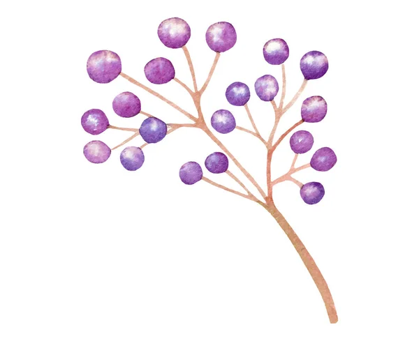 Изолированный векторный фиолетовый цветок свадебное украшение — стоковый вектор