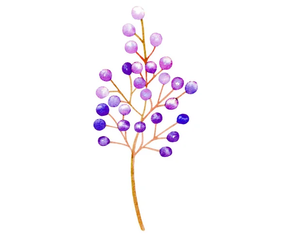 Svatební dekorace fialové izolované vektor rostlin — Stockový vektor
