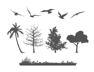 Siluet Orman ağacı, kuşlar ve otlar