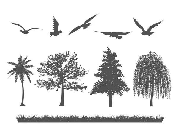 Silhouette d'arbres forestiers, d'oiseaux et d'herbes — Image vectorielle