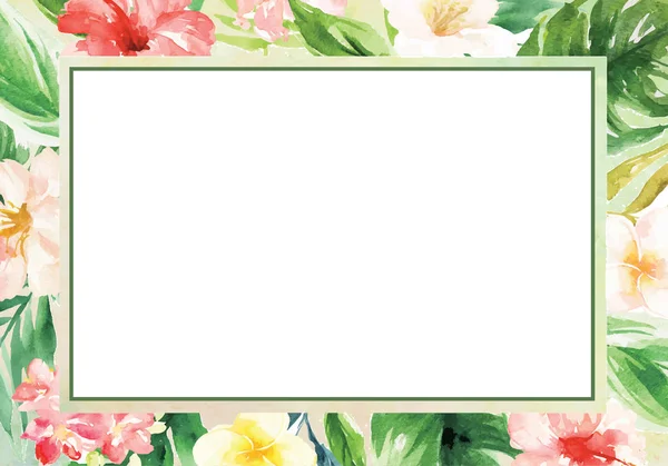 Acuarela tinta cepillo fondo con planta de verano y flor bor — Vector de stock
