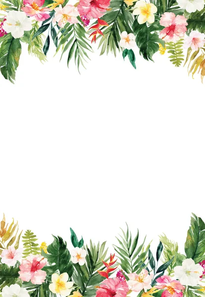 植物と花の境界線と白い用紙の背景 — ストックベクタ