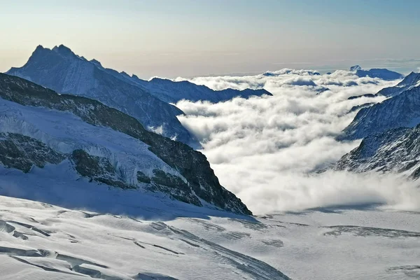 Κορυφή και θάλασσα από σύννεφα στην Ελβετία Grindelwald βουνό χιόνι — Φωτογραφία Αρχείου