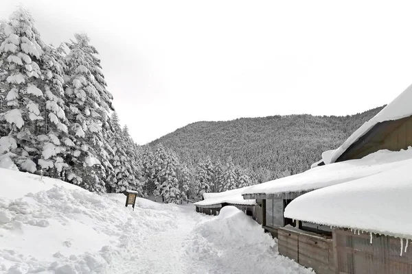 Casa Madeira Árvores Com Neve Nas Montanhas Japão — Fotografia de Stock