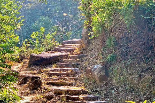 Het Buitenwandelpad Hong Kong Met Natuurgras Planten Trappen Bergen — Stockfoto