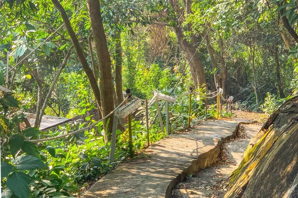 Hong Kong Doğal Otlar Bitkiler Merdivenler Dağlarla Dolu Doğa Yürüyüşü — Stok fotoğraf