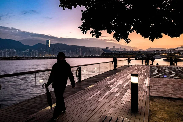 Силуэт Людей Дерева Реки Гонконг Центре Города Закате — стоковое фото