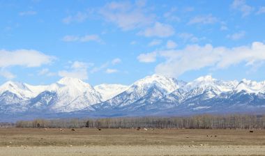 toppen van de bergen