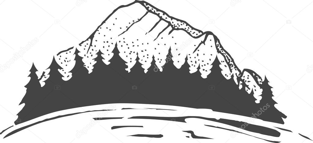 Sketch of a mountains with fir forest, engraving style, hand drawn vector illustration