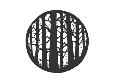 Vektör el stil tipografi poster çam ağaçları orman ile çekilmiş. hippi tarzı illüstrasyon