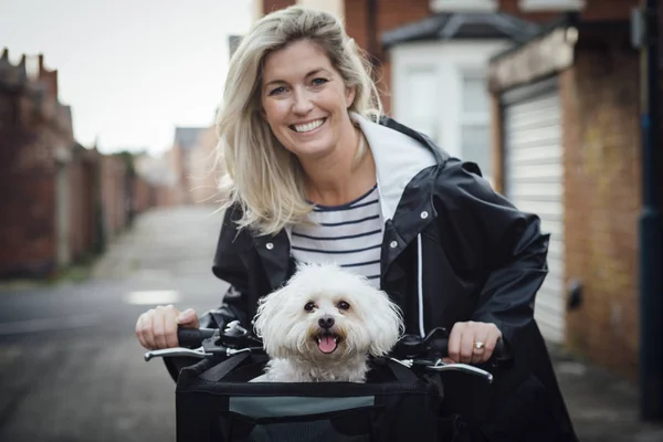 Chien heureux dans un panier à vélo — Photo