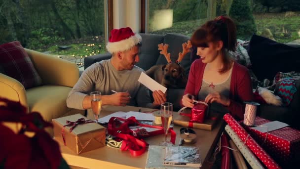 Weihnachtsmann als kleiner Helfer — Stockvideo