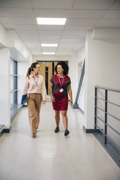 Profesores yendo a clases — Foto de Stock