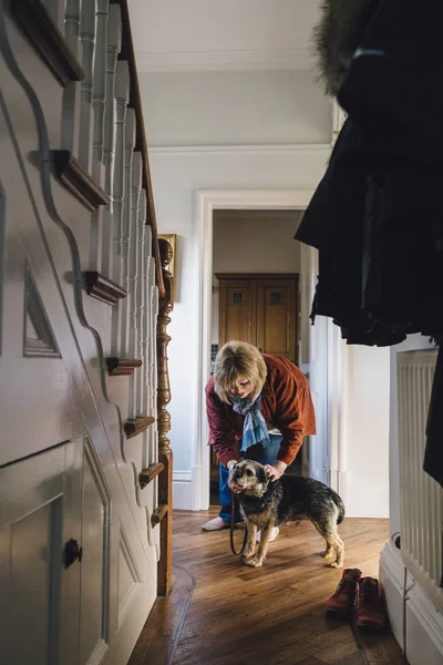 Llevando al perro a dar un paseo — Foto de Stock