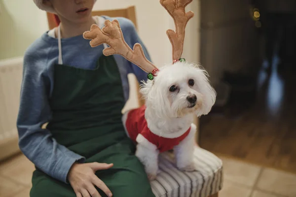 Kisfiú és kutyája, karácsony — Stock Fotó