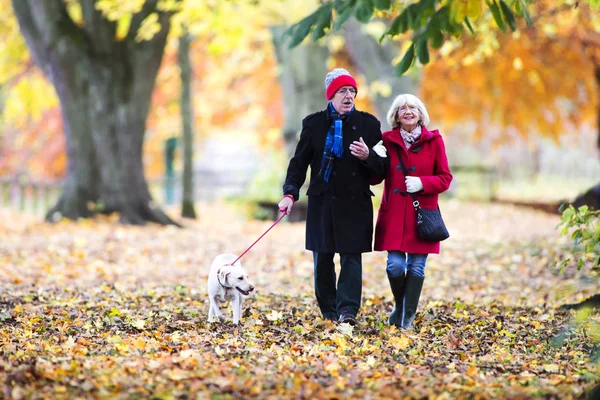 Jesienny spacer z psem — Zdjęcie stockowe