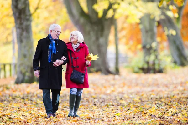 Para starszych korzystających jesienny spacer — Zdjęcie stockowe