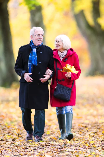 Äldre par njuter av hösten promenad — Stockfoto