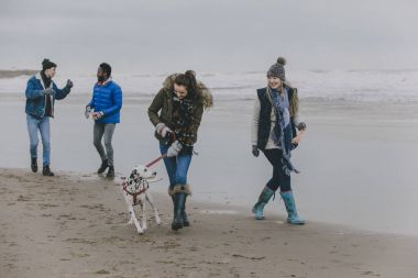 Köpek kış Sahilde yürüyüş arkadaş