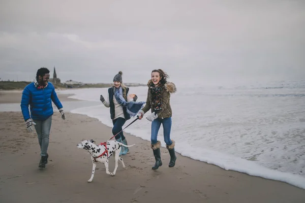 Adolescentes caminham cão na praia de inverno — Fotografia de Stock