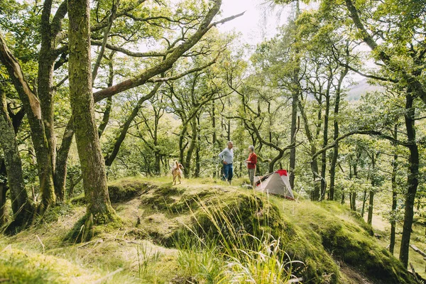 Waking up to the Wilderness — Stock Photo, Image