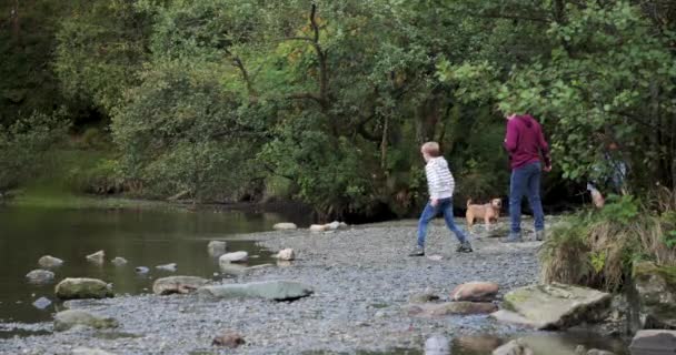 Two Boys Having Pebble Throwing Competition Father Lake Have Found — Stock Video