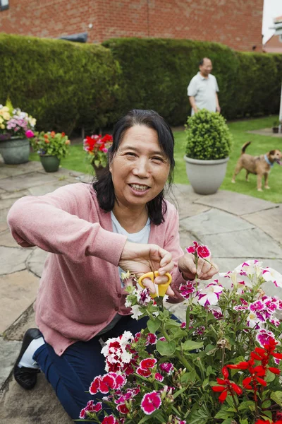 Sonriendo para la cámara mientras se hace jardinería —  Fotos de Stock