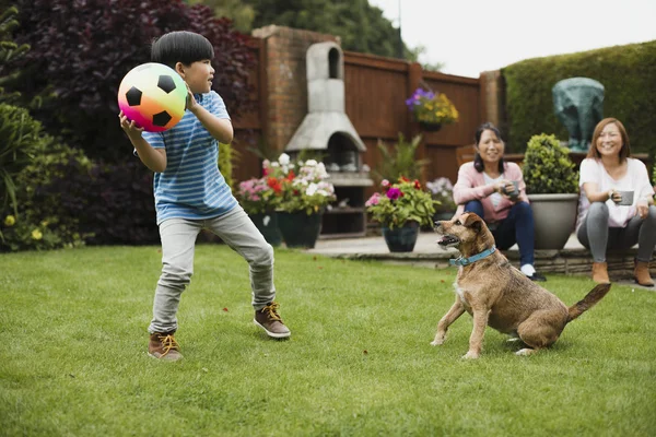 Hrát Fetch v zahradě — Stock fotografie