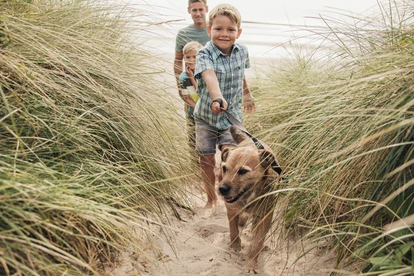 Caminhando o cão na praia — Fotografia de Stock