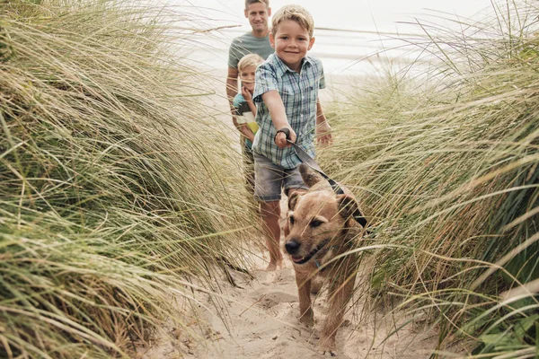 Promenade du chien à la plage — Photo